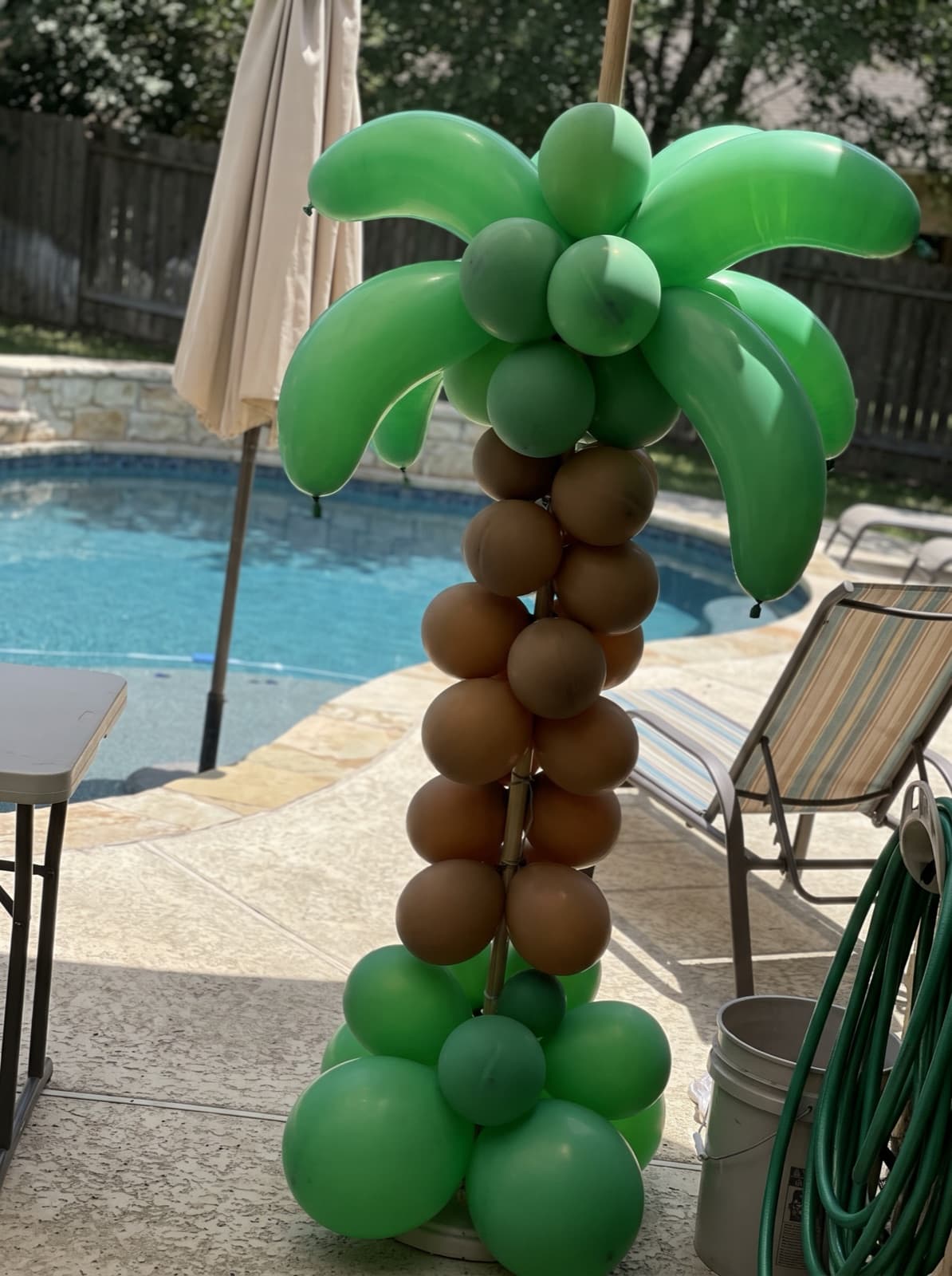 Palm tree balloon column beside a backyard pool